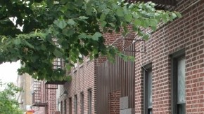 Por la espalda, a traición, desconocido atacó a puñaladas a joven hispana en Queens.