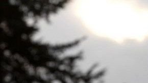 Aunque "El señor de los cielos" fue grabada en México, Amaya por el momento no tiene planes para regresar a este país.