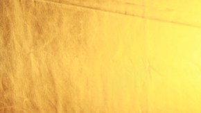 Lambda tiene amplia trayectoria en TV y teatro.