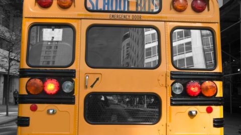 Bajo la política escolar de procedimientos en Florida, los conductores no están obligados a interponerse físicamente para separar a involucrados en peleas.