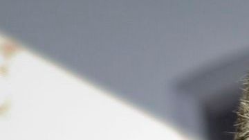 Manuel Negrete visitó Nueva York para ser parte de la promoción del  partido de anoche entre México y Costa de Marfil.