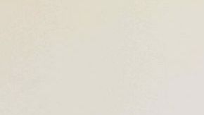 El excongresista Anthony Weiner durante la junta editorial de ayer con El Diario/La Prensa.