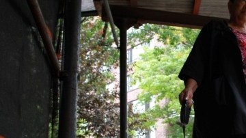 Una mujer  pasea a su cachorro Coquí por  uno de los parques de la ciudad.