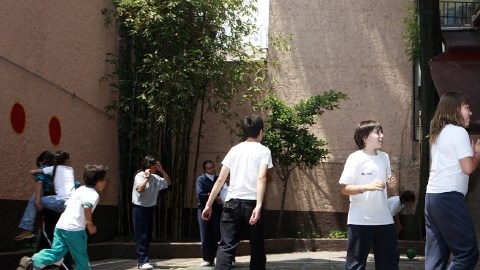 Uno de los trastornos más comunes en la etapa escolar es el déficit de atención e hiperactividad (TDAH).