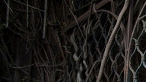 Tras vencer el cáncer Draco Rosa realizará su primer tour 'Vida'.