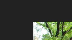 Anthony Miranda (izq.), presidente de la Asociación Nacional de Oficiales Latinos, cree que  la forma más eficaz de prevenir un delito es con el buen trabajo policial.