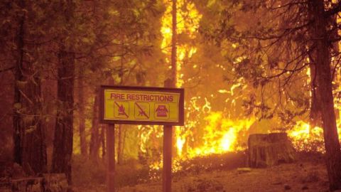 Llamas del incendio forestal cerca del borde del Parque Nacional de Yosemite en el condado de Tuolumne, California.