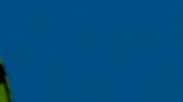 Rafael Nadal estuvo siete meses de baja por la rotura de un ligamento en la rodilla, pero tras su regreso ha ganado varios torneos y está completamente listo para también triunfar en Nueva York.