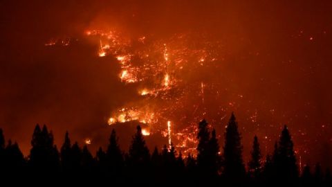 El incendio forestal Rim Fire en California, alcanza un área del tamaño de Chicago.