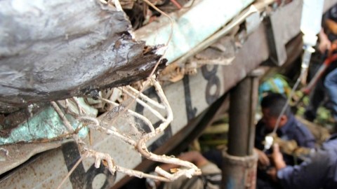Personal de Protección Civil rescata víctimas  del descarrilamiento del tren de carga conocido como 'La Bestia'.