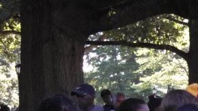 La intervención policial en el parque Moore Square se realizó este sábado.