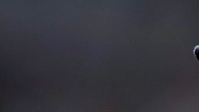 Kuroda perdió su décimo partido del año y cuarto en cinco salidas.