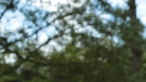 Maduro ha denunciado un sin fin de "maniobras" en su contra.