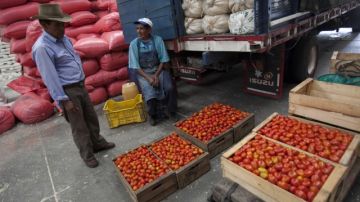 Dos hombres acomodan productos alimenticios en una bodega en Ciudad de Guatemala, país que espera duplicar las exportaciones al mercado mexicano con la puesta en vigencia a  partir de hoy del TLC.
