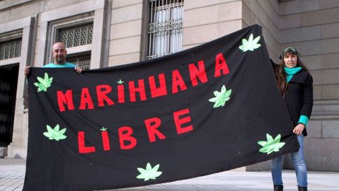 El rechazo al plan en pro de la marihuana ha decaído.