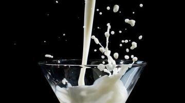 Se recomienda limitar el consumo de lácteos a una o dos veces por día.