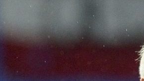 Trapattoni y Tardelli se van.