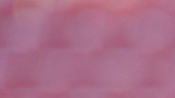 Ozil y sus nuevos horizontes.