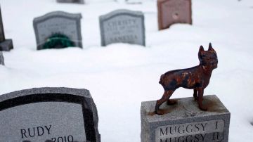 Ahora el cementerio de animales en Hartsdale, en el estado de Nueva York, podrá aceptar las cenizas de los dueños de animales que deseen ser enterrados junto a sus mascotas.