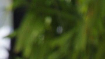 Massa se va de Ferrari pero suelta su dardo.