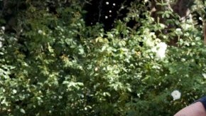 David Beckham es uno de los astros del fútbol que han apostado por su propia líea de ropa