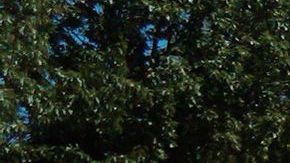 Agentes policiacos se mantienen investigando en la escena y buscando pistas que les conduzcan al pistolero.