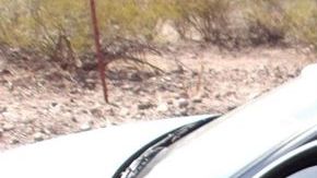 La patrulla fronteriza realizará simulacros para reducir el uso de la fuerza.