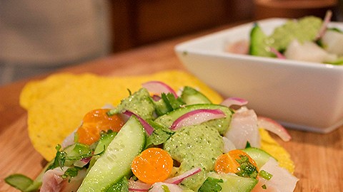 Desde recetas sencillas hasta grandes obras culinarias podrás cocinar viendo este nuevo canal.