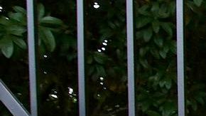 Varias actividades de la vida cotidiana están siendo alteradas por el cierre de gobierno que inicia su segunda semana.