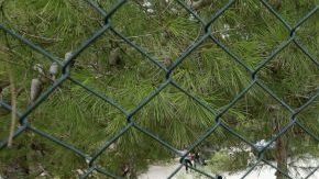 El papa Francisco mandará más ayuda a la isla italiana.