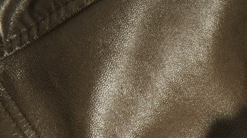 La mujer detenida portaba un revólver.38 corto