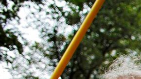 El gobierno de Estados Unidos reabre sus puertas tras dos semanas de operaciones parciales.