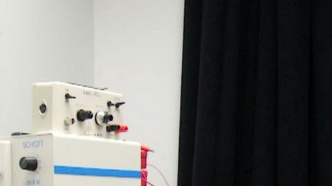 La doctora Maiken Nedergaard, principal investigadora, muestra en la pantalla los distintos patrones registrados durante el descanso en ratones.