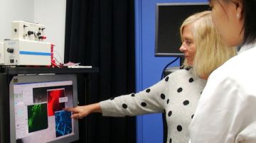 La doctora Maiken Nedergaard, principal investigadora, muestra en la pantalla los distintos patrones registrados durante el descanso en ratones.
