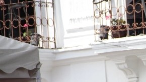 El presidente de Ecuador, Rafael Correa (centro),   recibió la camiseta de la selección tricolor autografiada por todos los jugadores.