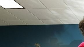 DelVecchia presidió, en 2007, la primera unión civil en el estado, entre la pareja del mismo sexo formada por Beth Asaro y Joanne Schailey.