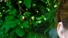 Colleen Ritzeris era maestra de la preparatoria Danvers.