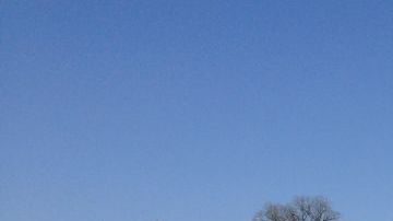 El Congreso ha votado 46 veces sobre Obamacare