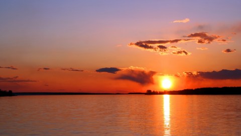 Tras tanta destrucción, hoy podemos decir que somos más fuertes.