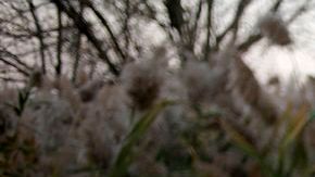 En Staten Island, los vecinos levantaron un altar para recordar sus fallecidos durante el paso de "Sandy".
