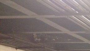 Si usted ve a Avonte Oquendo, por favor, llame al 800-577-8477.