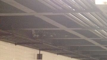 Si usted ve a Avonte Oquendo, por favor, llame al 800-577-8477.