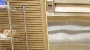 Más de 47 millones de personas utilizan este beneficio, un 15.4% de ellos son latinos.