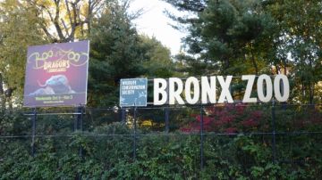 El zoológico de El Bronx atrae a grandes y chicos.
