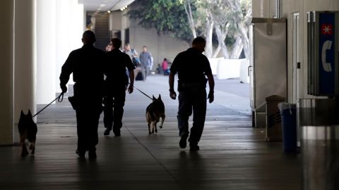 Oficiales buscaban posibles evidencias que hubiese dejado en la zona el pistolero.