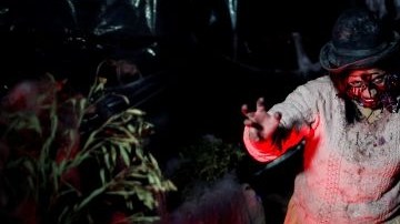 Bolivianos de La Paz y El Alto, en su mayoría de origen aymara, han abrazado las celebraciones de Halloween con  caracteres adaptados a su propia cultura, como Cholita.