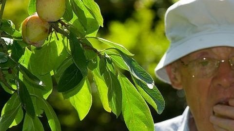 Es importante saber qué comida se debe comer con el paso de los años.