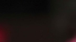 La Policía no informó sobre el valor de los objetos sustraídos por los ladrones aunque se supo que causaron un gran desorden en el hogar del Conejito.