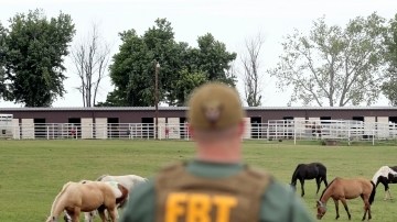 Agentes del FBI vigilan las propiedades  en Oklahoma, de los hermanos Treviño Morales, acusados de narcotráfico y lavado de dinero.