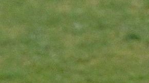 Los 'Leones indomables' golearon a Túnez.